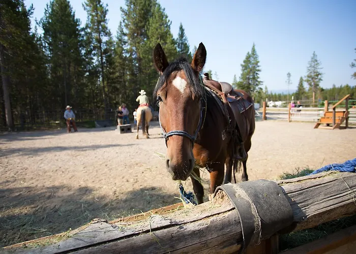 Lodge Headwaters & At Flagg Ranch Colter Bay Village