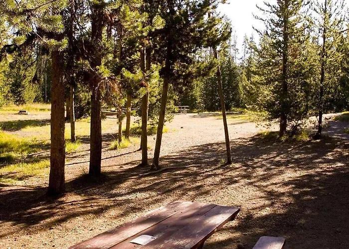 Headwaters & At Flagg Ranch Lodge *