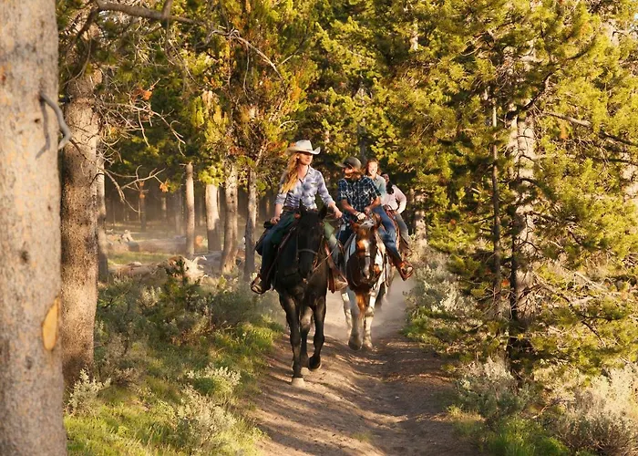 Headwaters & At Flagg Ranch Lodge